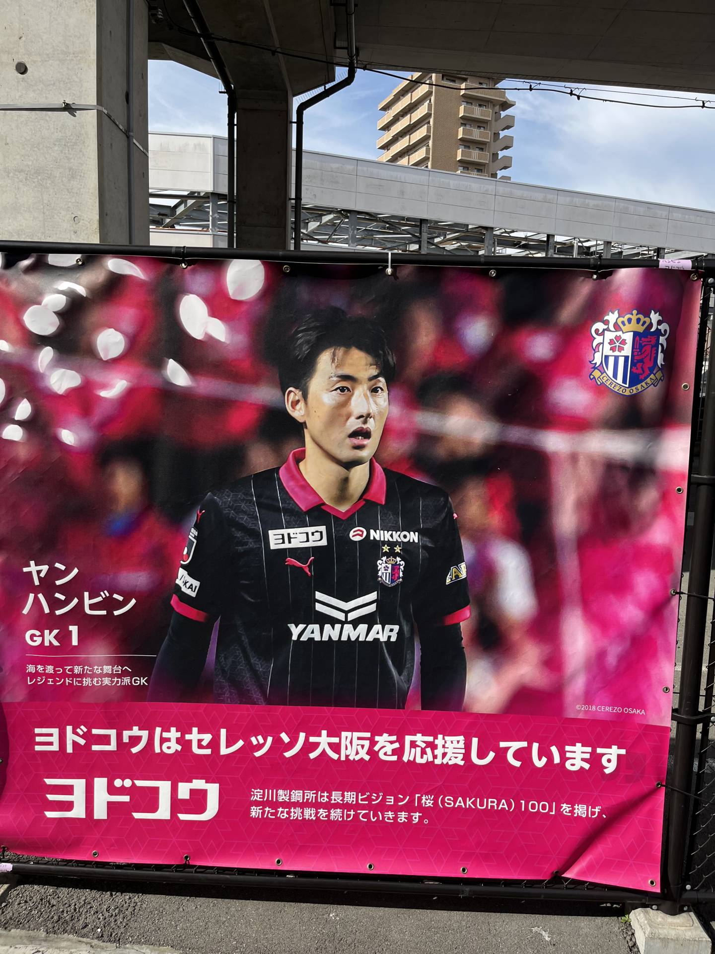 IMG_2084.jpeg.jpg