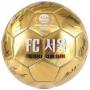 FC서울